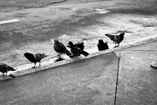 Lined Up – Fine Art Print | Black & White Street Photography